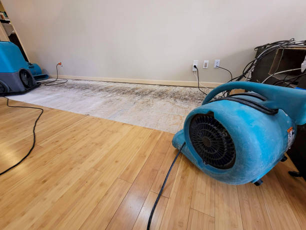 Professional Water Damage Repair technician working in Redding, CA